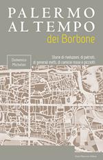 Palermo al tempo dei Borbone. Storie di rivoluzioni, di patrioti, di generali inetti, di camicie rosse e picciotti