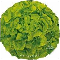 Insalate. Ricette magnetiche - copertina