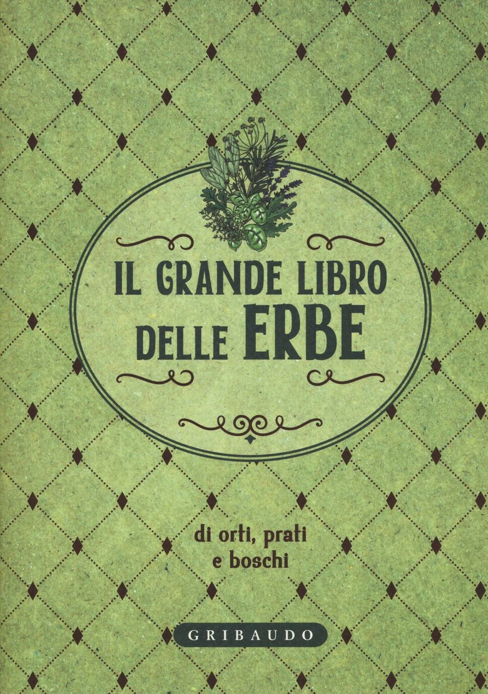 Sbinario nove e 3/4