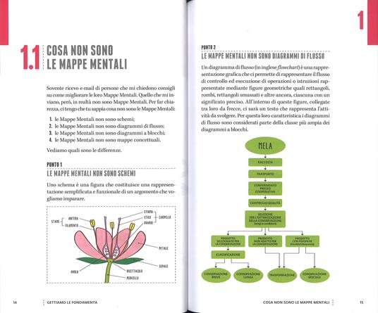 Metti il turbo alla tua mente con le mappe mentali. Per professionisti, manager e studenti che vogliono trovare la rotta verso risultati straordinari. Con DVD - Matteo Salvo - 2