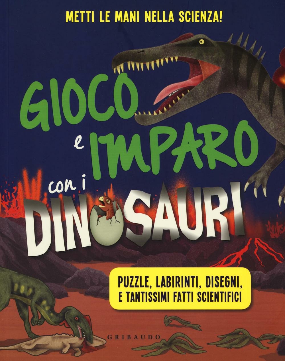 Libraccio