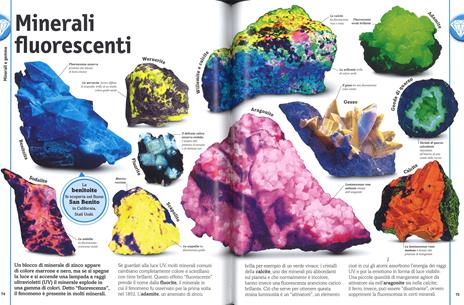 Minerali & gemme e altri tesori del mondo naturale. Ediz. a colori - Roberto  Sorgo - Libro - Gribaudo - Enciclopedia per ragazzi