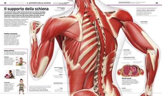 La grande enciclopedia del corpo umano. Ediz. a colori - 3