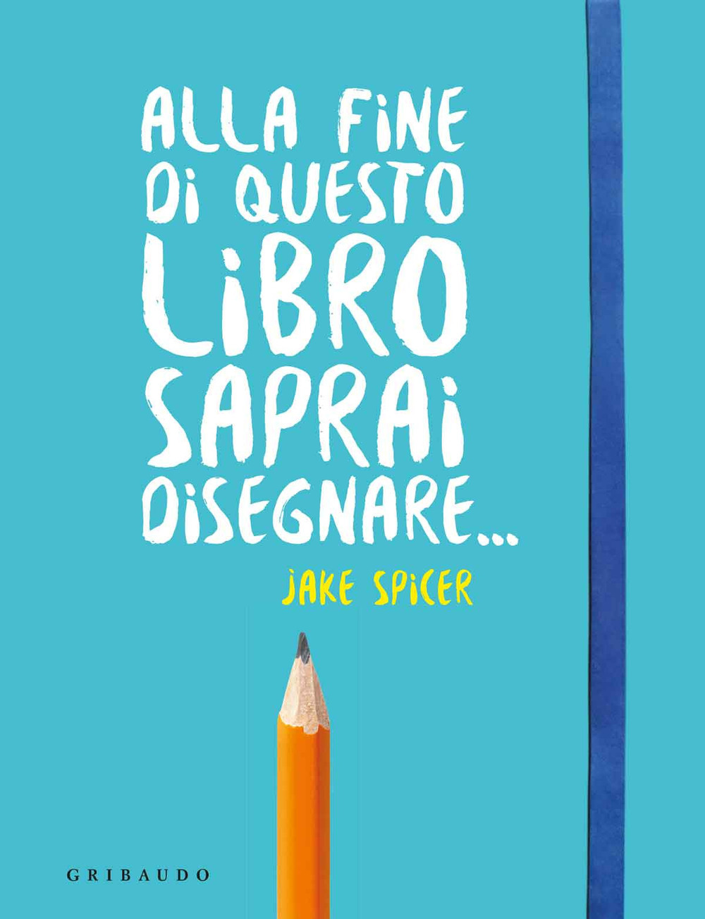 Libraccio