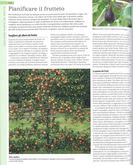 DK L'enciclopedia del verde. La scelta delle piante, la progettazione e la cura di giardino, orto e frutteto - 5