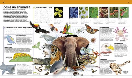 DK La grande enciclopedia degli animali - John Woodward,Kim Dennis-Bryan - 3