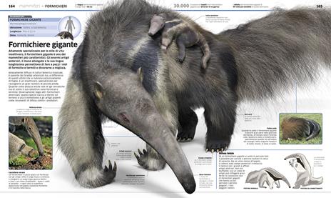 DK La grande enciclopedia degli animali - John Woodward,Kim Dennis-Bryan - 4