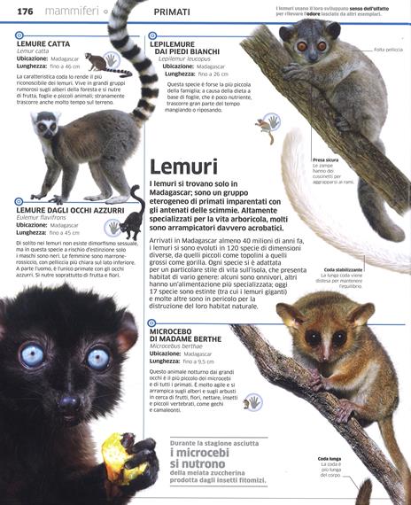 DK La grande enciclopedia degli animali - John Woodward,Kim Dennis-Bryan - 5