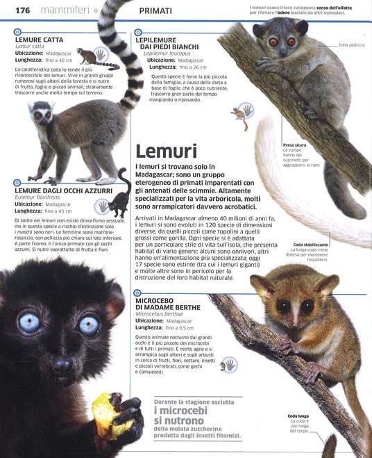 DK La grande enciclopedia degli animali - John Woodward,Kim Dennis-Bryan - 5