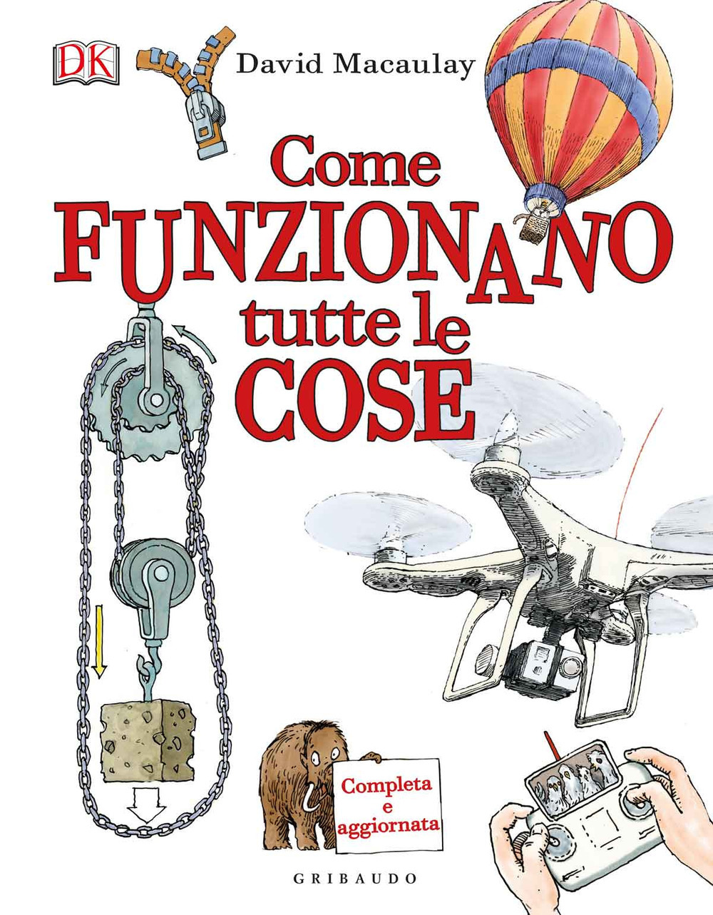 Libraccio