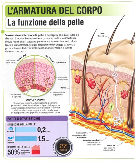 DK Super corpo umano. Scopri l'incredibile potenziale del tuo corpo. Ediz. a colori - 4