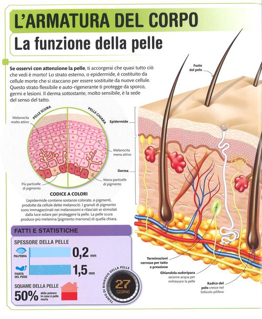 DK Super corpo umano. Scopri l'incredibile potenziale del tuo corpo. Ediz. a colori - 4