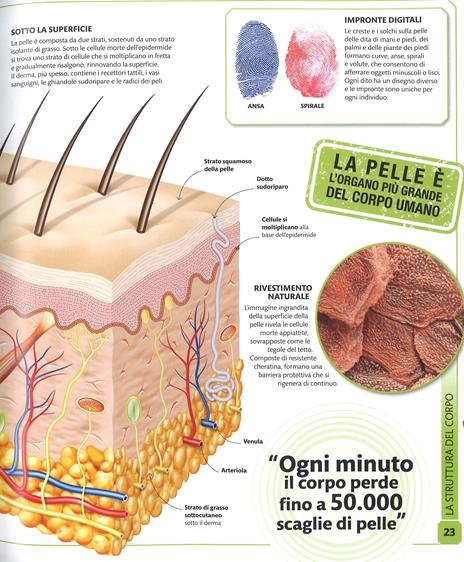 DK Super corpo umano. Scopri l'incredibile potenziale del tuo corpo. Ediz. a colori - 5