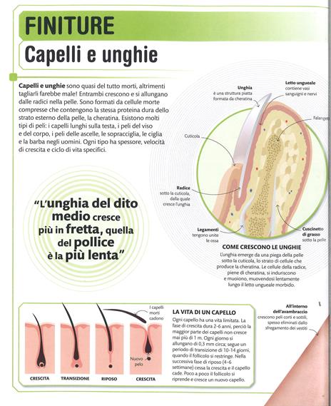 DK Super corpo umano. Scopri l'incredibile potenziale del tuo corpo. Ediz. a colori - 6