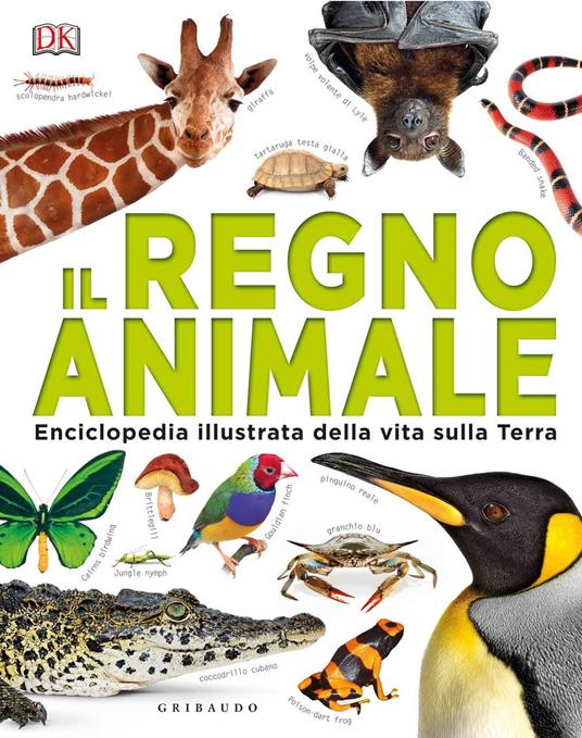 Il regno animale. Enciclopedia illustrata della vita sulla terra. Ediz. a colori - copertina