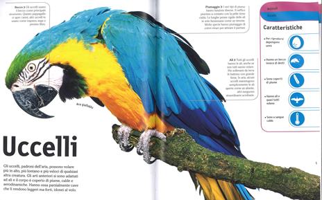 Il regno animale. Enciclopedia illustrata della vita sulla terra. Ediz. a colori - 5