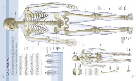 Il corpo umano. Una guida illustrata su struttura, funzioni e patologie - Steve Parker - 3