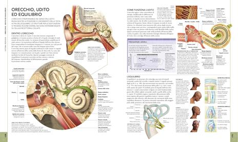 Il corpo umano. Una guida illustrata su struttura, funzioni e patologie - Steve Parker - 4