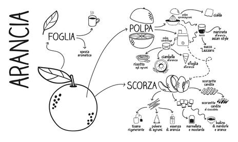 Il grande libro delle bucce - Lisa Casali - 5