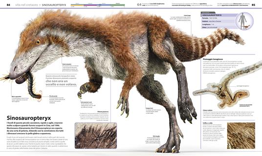 La grande enciclopedia dei dinosauri. Ediz. a colori - John Woodward,Darren Naish - 3