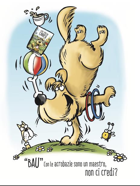 Come parlare canese. Ediz. a colori - Jonathan Irwin - 5