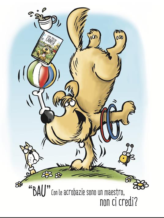 Come parlare canese. Ediz. a colori - Jonathan Irwin - 5