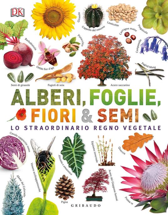 Alberi, foglie, fiori & semi. Lo straordinario regno vegetale. Ediz. a colori - copertina