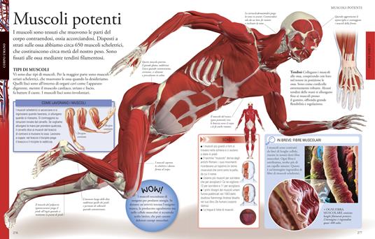 La grande enciclopedia dei ragazzi. Un volume completo, ricco di informazioni, curiosità e immagini - 8