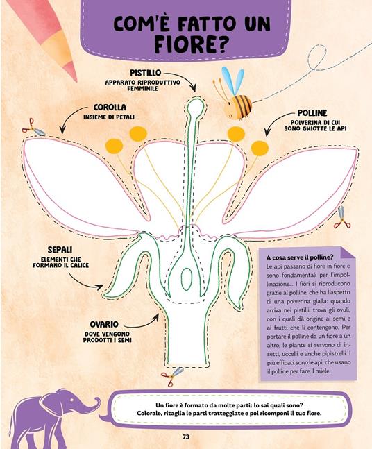Scienza per i più piccoli. Tanti giochi e attività per allenare l'intelligenza scientifica e naturalistica. Ispirato agli studi di Maria Montessori - 6