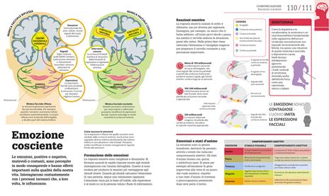 Come funziona il cervello. I fatti spiegati visivamente. Ediz. illustrata - 6