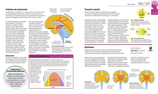 Come funziona il cervello. I fatti spiegati visivamente. Ediz. illustrata - 7