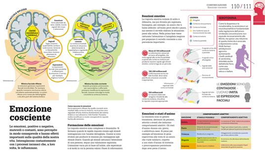 Come funziona il cervello. I fatti spiegati visivamente. Ediz. illustrata - 6