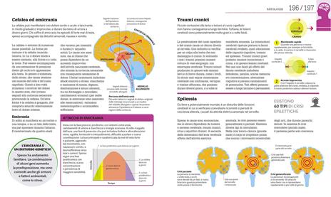 Come funziona il cervello. I fatti spiegati visivamente. Ediz. illustrata - 7