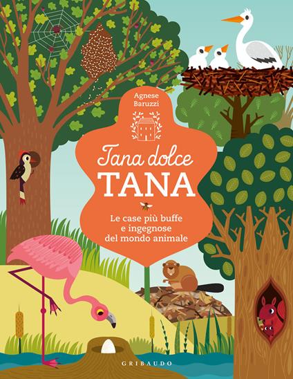 Tana dolce tana. Le case più buffe e ingegnose del mondo animale. Ediz. a colori - Agnese Baruzzi - copertina