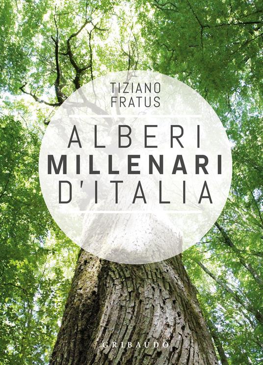 Alberi millenari d'Italia. Un viaggio fra i boschi nascosti. Ediz. a colori - Tiziano Fratus - copertina