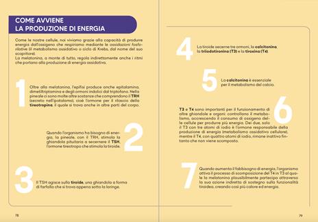 Universo melatonina. Viaggio alla scoperta dei suoi straordinari effetti sulla longevità e sul sistema immunitario. Nuova ediz. - Walter Pierpaoli - 6
