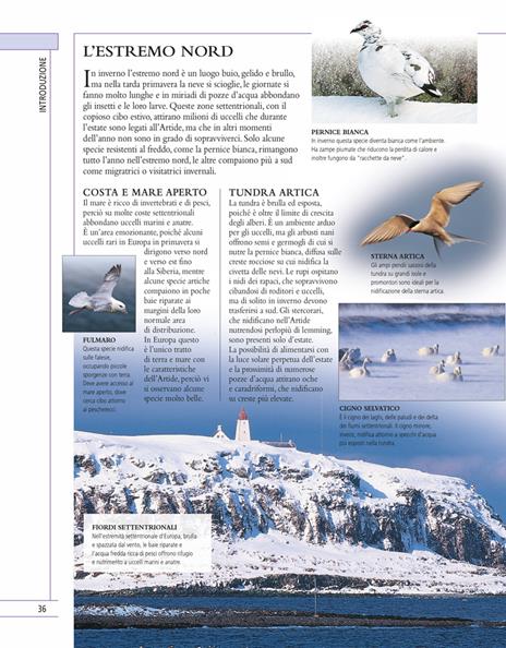 Il libro completo degli uccelli d'Europa. Ediz. a colori - Rob Hume - 6