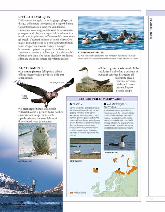 Il libro completo degli uccelli d'Europa. Ediz. a colori - Rob Hume - 7