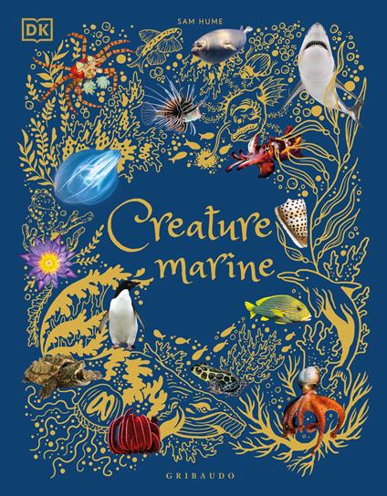 Creature marine. Ediz. illustrata - Sam Hume - copertina