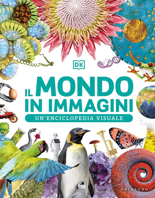 Il mondo in immagini. Un’enciclopedia visuale. Ediz. illustrata - copertina