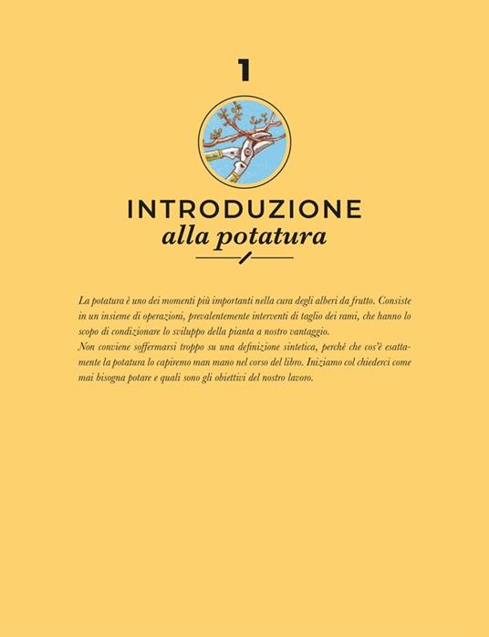 Potatura facile. Il manuale illustrato di «Orto da coltivare» sugli alberi da frutto - Matteo Cereda,Pietro Isolan - 3