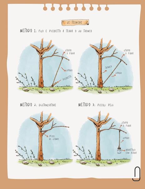 Potatura facile. Il manuale illustrato di «Orto da coltivare» sugli alberi da frutto - Matteo Cereda,Pietro Isolan - 8