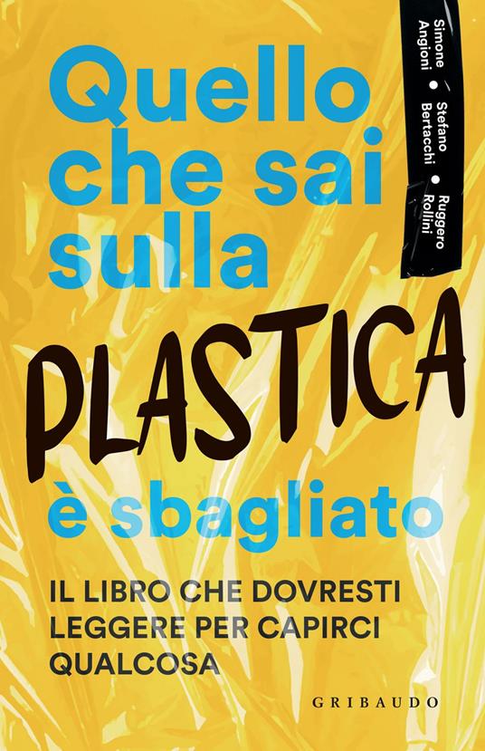 Quello che sai sulla plastica è sbagliato - Simone Angioni,Stefano Bertacchi,Ruggero Rollini - ebook