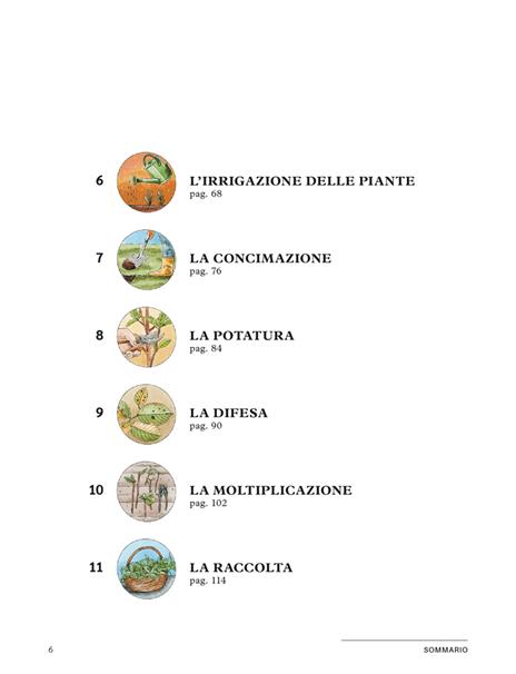 Erbe aromatiche. Il manuale illustrato di «Orto da coltivare» per seminarle, curarle e utilizzarle - Matteo Cereda,Pietro Isolan - 3
