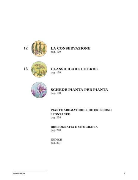 Erbe aromatiche. Il manuale illustrato di «Orto da coltivare» per seminarle, curarle e utilizzarle - Matteo Cereda,Pietro Isolan - 4