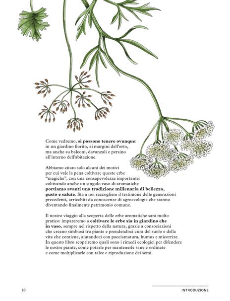 Erbe aromatiche. Il manuale illustrato di «Orto da coltivare» per seminarle, curarle e utilizzarle - Matteo Cereda,Pietro Isolan - 6