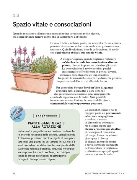 Erbe aromatiche. Il manuale illustrato di «Orto da coltivare» per seminarle, curarle e utilizzarle - Matteo Cereda,Pietro Isolan - 7