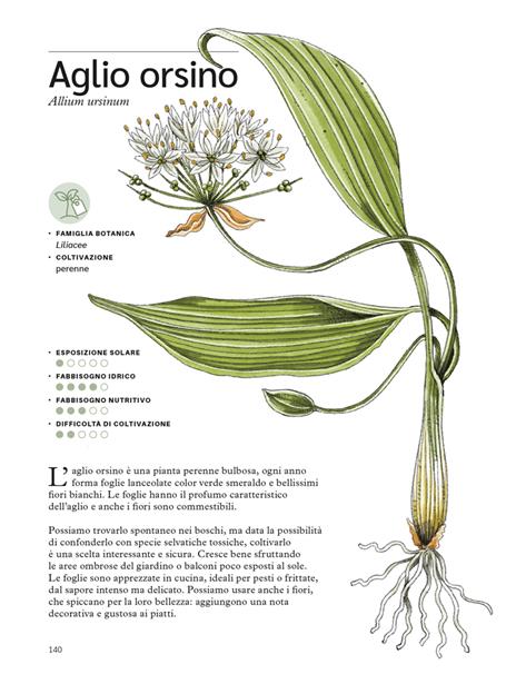 Erbe aromatiche. Il manuale illustrato di «Orto da coltivare» per seminarle, curarle e utilizzarle - Matteo Cereda,Pietro Isolan - 9