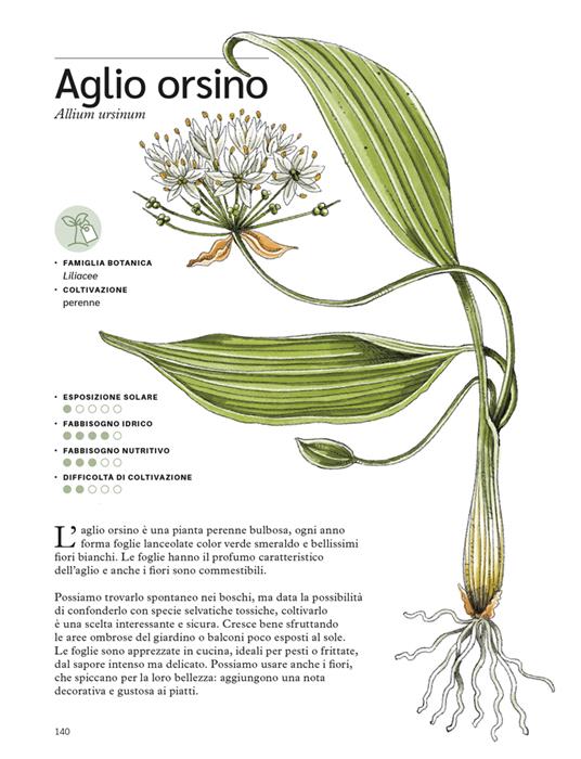 Erbe aromatiche. Il manuale illustrato di «Orto da coltivare» per seminarle, curarle e utilizzarle - Matteo Cereda,Pietro Isolan - 9