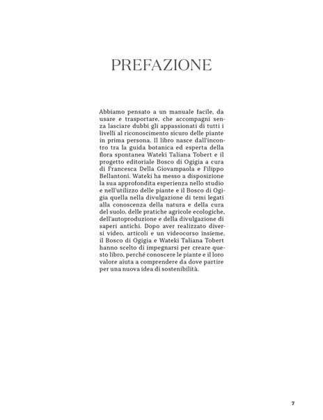 Erbe spontanee. Riconoscerle, raccoglierle e conservarle - Wateki Taliana Tobert,Francesca Della Giovampaola,Filippo Bellantoni - 3